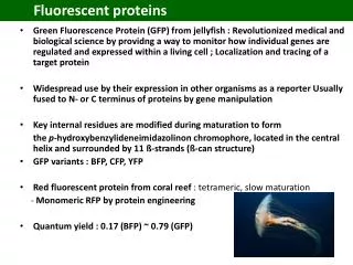 Fluorescent proteins