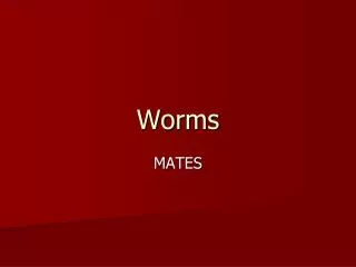 Worms