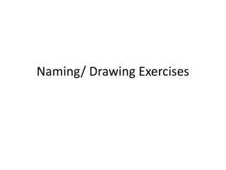 Naming/ Drawing Exercises