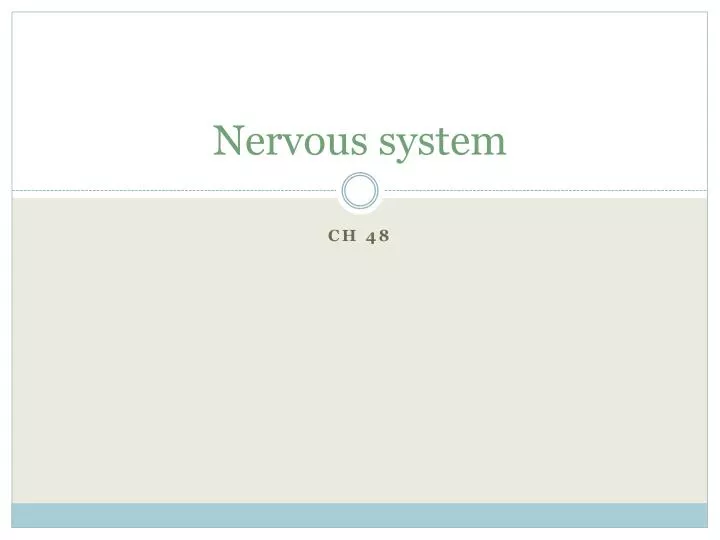 nervous system