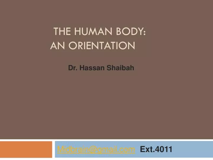 the human body an orientation