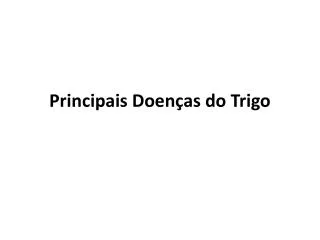 principais doen as do trigo