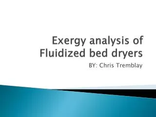 Exergy analysis of Fluidized bed dryers