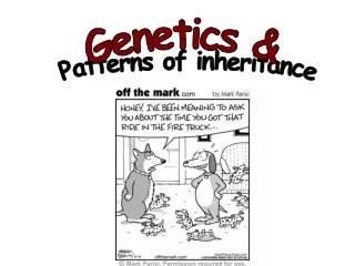 Patterns of inheritance