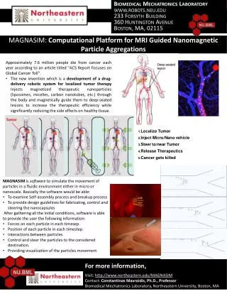 MAGNASIM: Computational Platform for MRI Guided Nanomagnetic Particle Aggregations