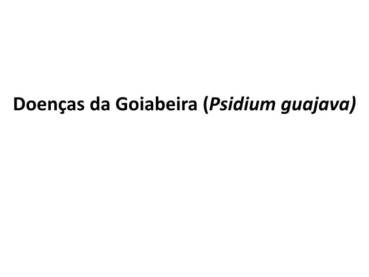 doen as da goiabeira psidium guajava