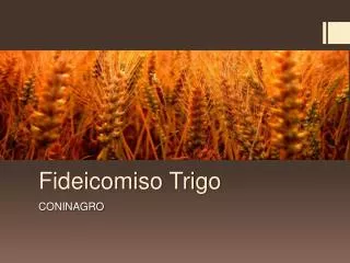 fideicomiso trigo