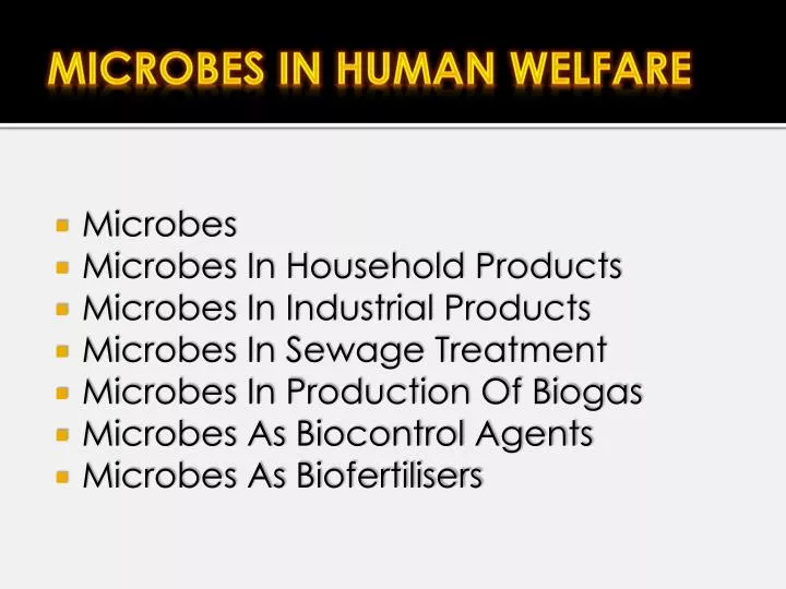 microbes in human welfare