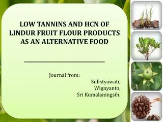 LOW TANNINS AND HCN OF LINDUR FRUIT FLOUR PRODUCTS AS AN ALTERNATIVE FOOD