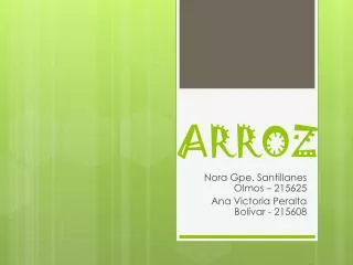 arroz