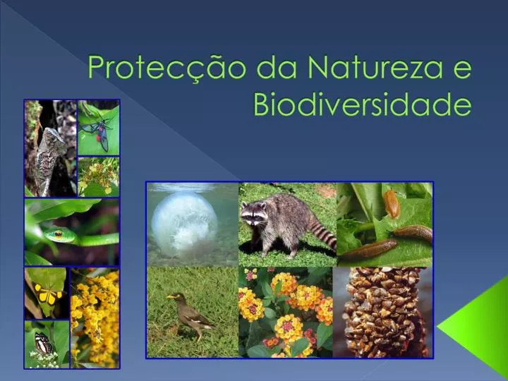 protec o da natureza e biodiversidade
