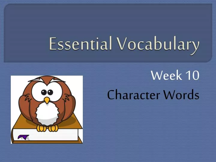 essential vocabulary