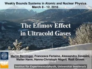 The Efimov Effect in Ultracold Gases