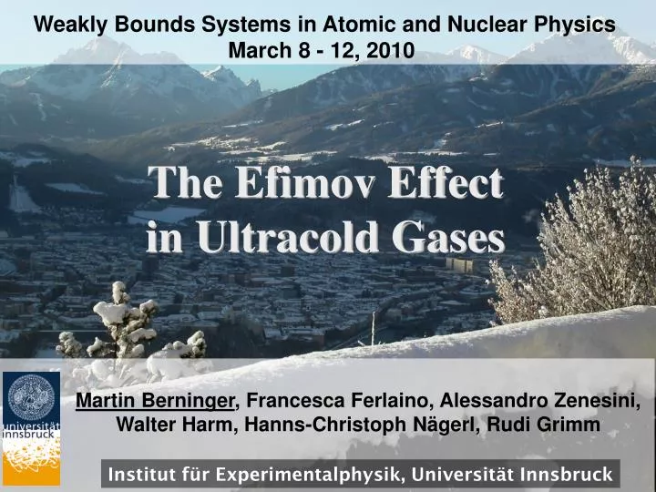 the efimov effect in ultracold gases