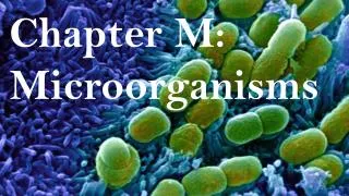 Chapter M: Microorganisms