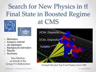 Search for New Physics in tt Final State in Boosted Regime at CMS