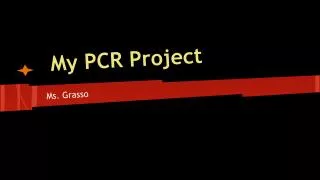 My PCR Project