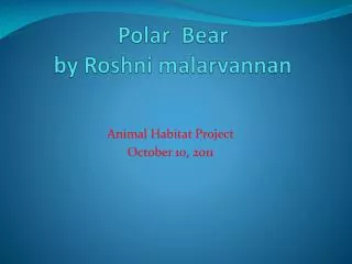 Polar Bear by R oshni malarvannan