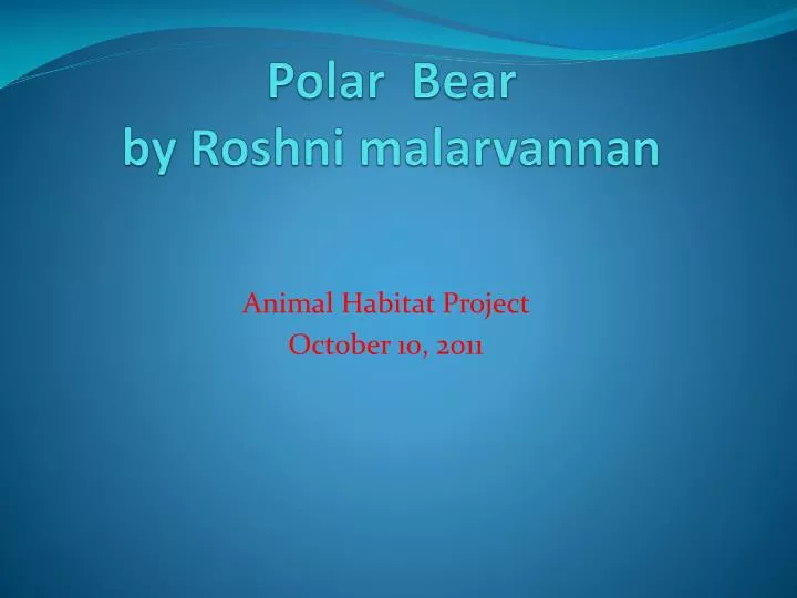 polar bear by r oshni malarvannan