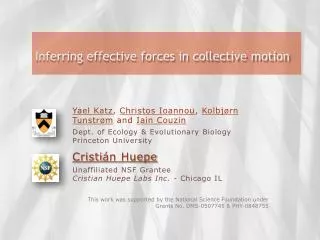 Inferring effective forces in collective motion