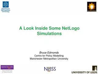 A Look Inside Some NetLogo Simulations