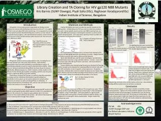 Library Creation and TA Cloning for HIV gp120 N88 Mutants