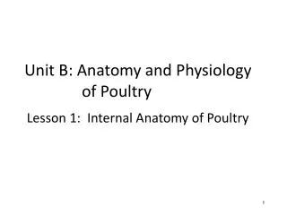 Unit B: Anatomy and Physiology of Poultry