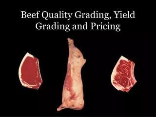 Beef Quality Grading, Yield Grading and Pricing