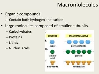 Macromolecules