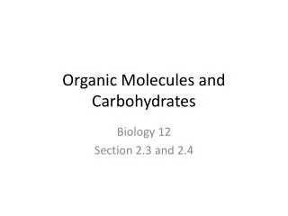 Organic Molecules and Carbohydrates