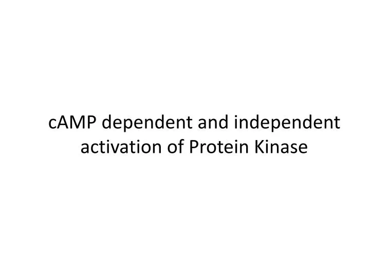 camp dependent and independent activation of protein kinase