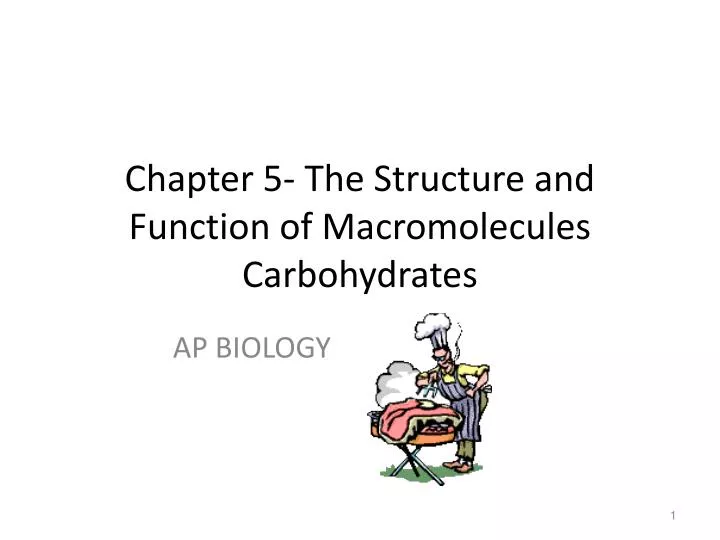 chapter 5 the structure and function of macromolecules carbohydrates