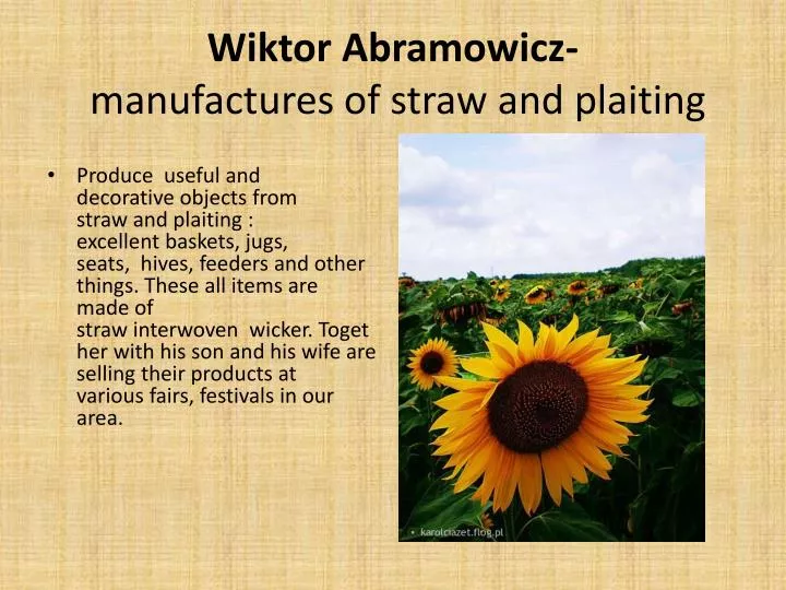wiktor abramowicz manufactures of straw and plaiting