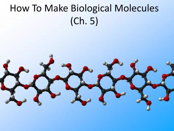 how to make biological molecules ch 5