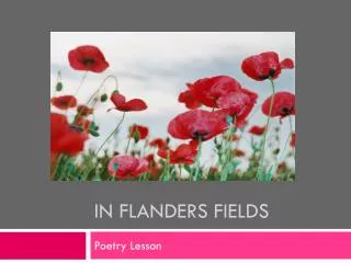in flanders fields