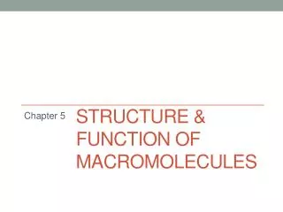 Structure &amp; Function of Macromolecules