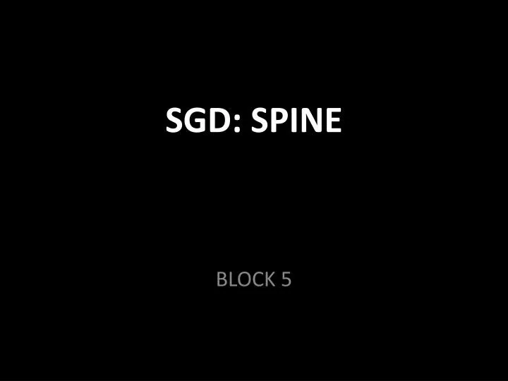 sgd spine a cautionary tale