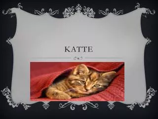 katte