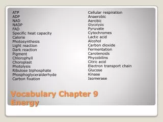 Vocabulary Chapter 9 Energy