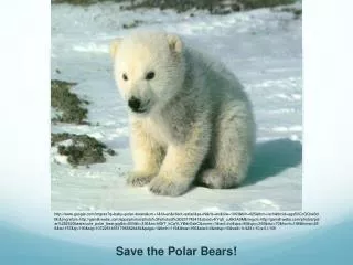 Save the Polar Bears!