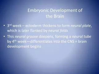 Embryonic Development of the Brain
