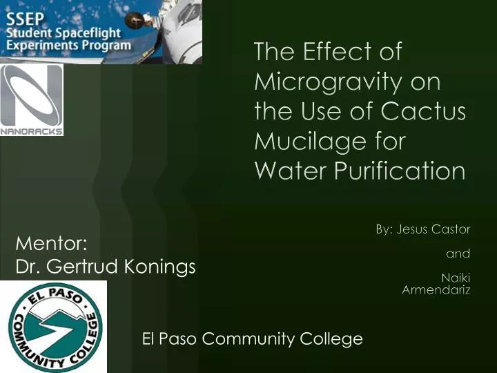 the effect of microgravity on the use of cactus mucilage for water purification