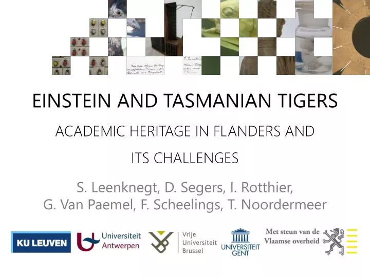 einstein and tasmanian tigers academic heritage in flanders and its challenges