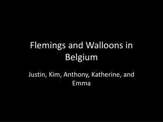 Flemings and Walloons in Belgium