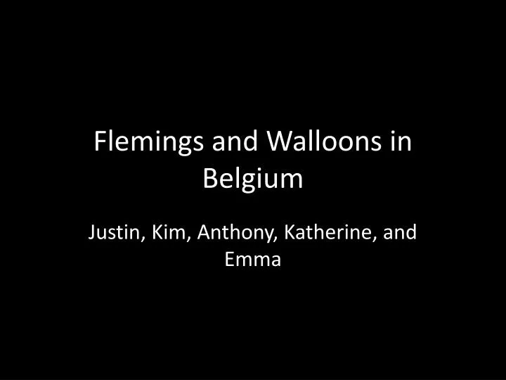 flemings and walloons in belgium