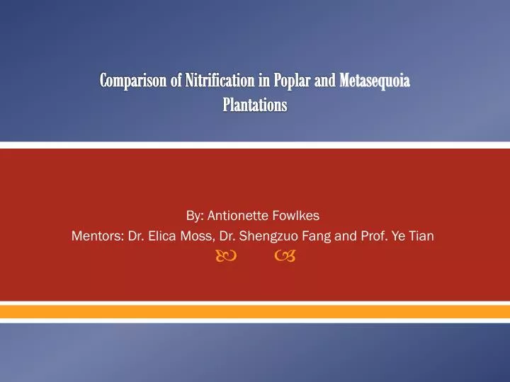 comparison of nitrification in poplar and metasequoia plantations