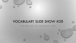 Vocabulary Slide Show #20