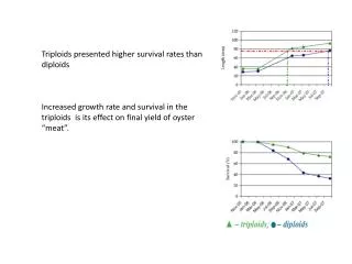 Triploids presente d higher survival rates than diploids