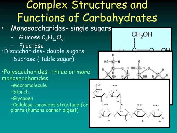 complex structures and functions of carbohydrates