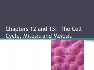 Chapters 12 and 13: The Cell Cycle, Mitosis and Meiosis